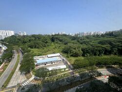 Blk 467A West Plains @ Bukit Batok (Bukit Batok), HDB 2 Rooms #610241551